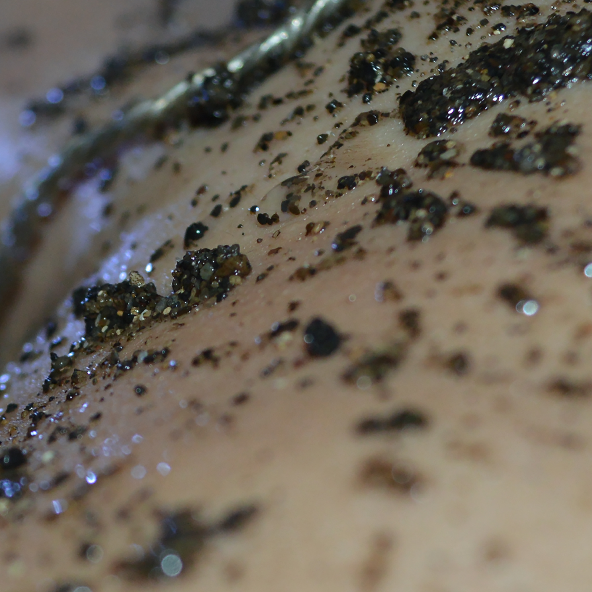 In Subtropical Rains / Oxygen – Single