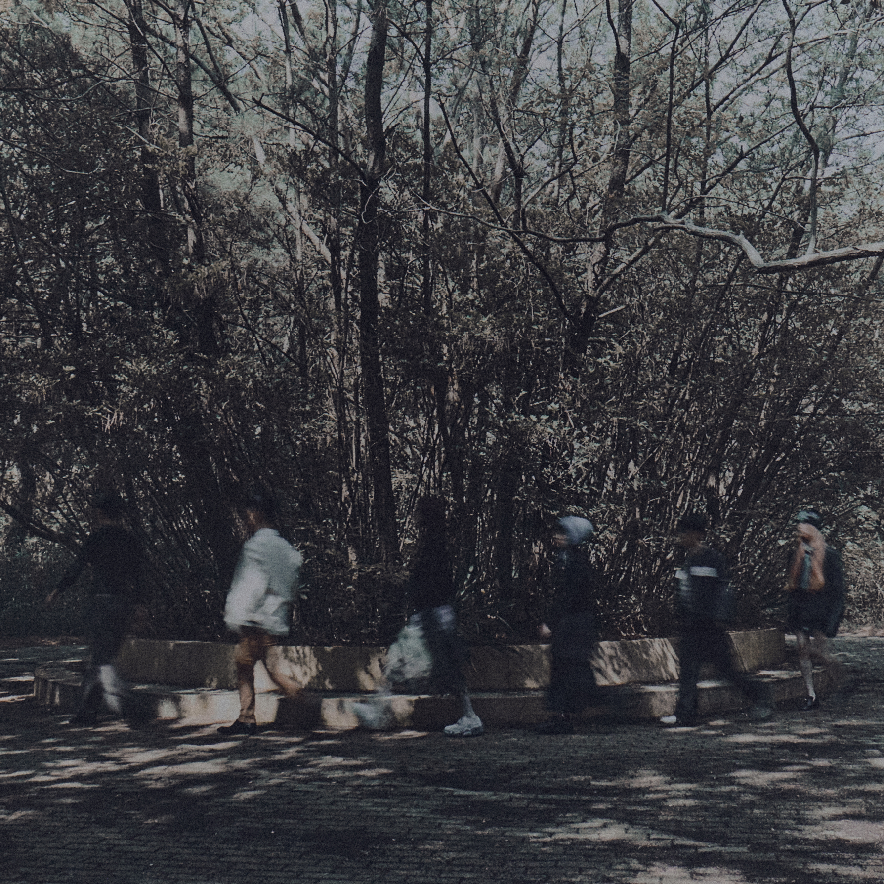 グラス・リバー